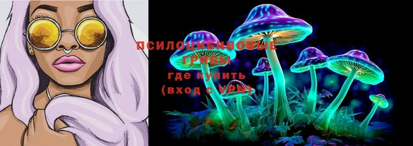ALPHA PVP Гусев