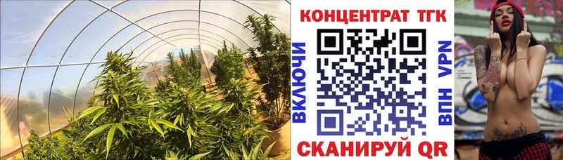 Дистиллят ТГК гашишное масло  Юрюзань 